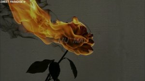 Rosalía - Malamente (lyrics-Letra)