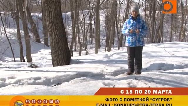 Конкурс "Дачный мир" смотреть онлайн