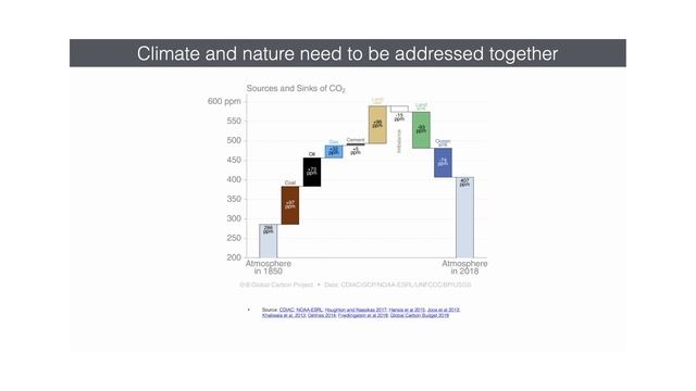 Dr. Lisen Schultz talks about Sustainability and Climate Change смотреть онлайн