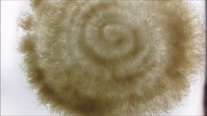 Рисование песком. Вводное занятие