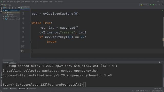 Python + Web camera = Love смотреть онлайн