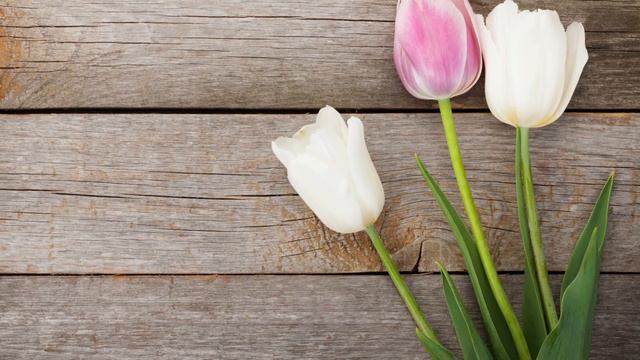 Valcer za mladu смотреть онлайн