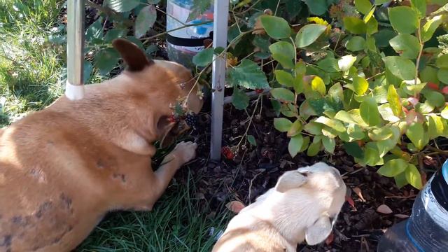 20160911 133012 смотреть онлайн