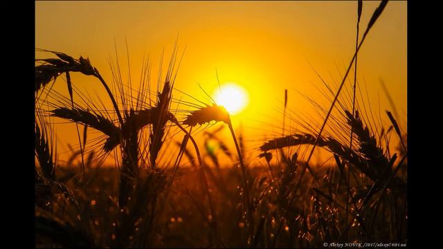 "Лето пришло" - А. Михеев (авторское исполнение) смотреть онлайн