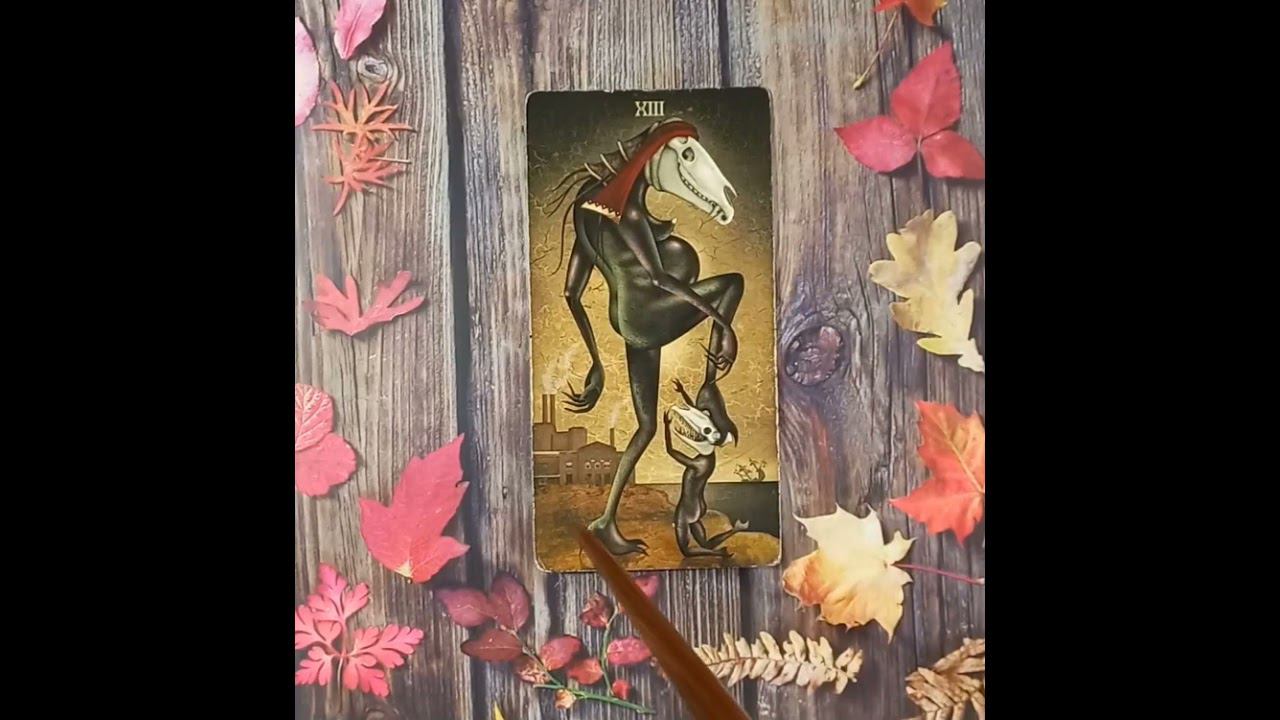 Для начинающих.Старший аркан Гниение(Смерть)