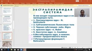 Экстрапирамидная система и мозжечок