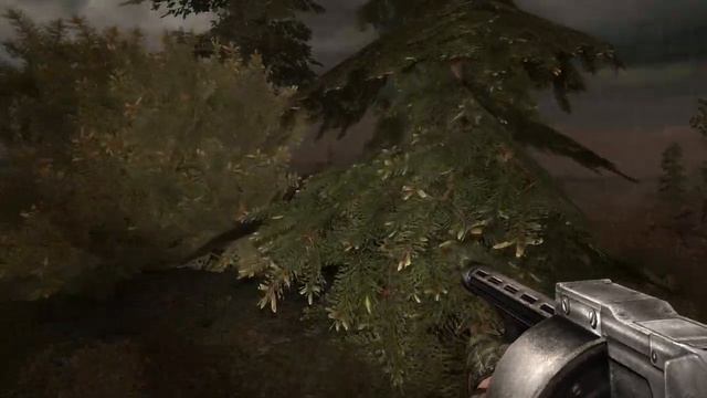 Где найти анабиотик в stalker зов припяти? смотреть онлайн