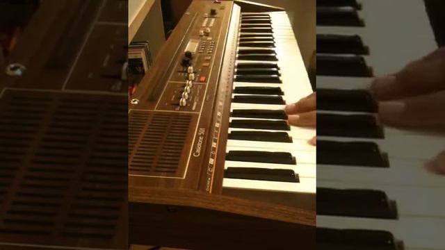 Casiotone 501 (ct501)