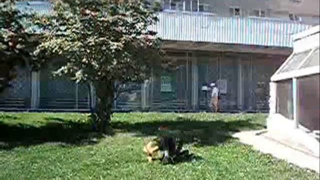 П смотреть онлайн