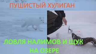 РЫБАЛКА НА ОЗЕРЕ  Я БЫЛ В ШОКЕ, ОН ПРИШЕЛ И ЗАБРАЛ ЕЕ!!!!