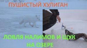 РЫБАЛКА НА ОЗЕРЕ  Я БЫЛ В ШОКЕ, ОН ПРИШЕЛ И ЗАБРАЛ ЕЕ!!!!