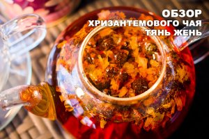 Обзор хризантемового чая от фирмы "Тянь Жень"