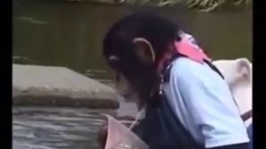 Вот что значит настоящий верный друг!!!?