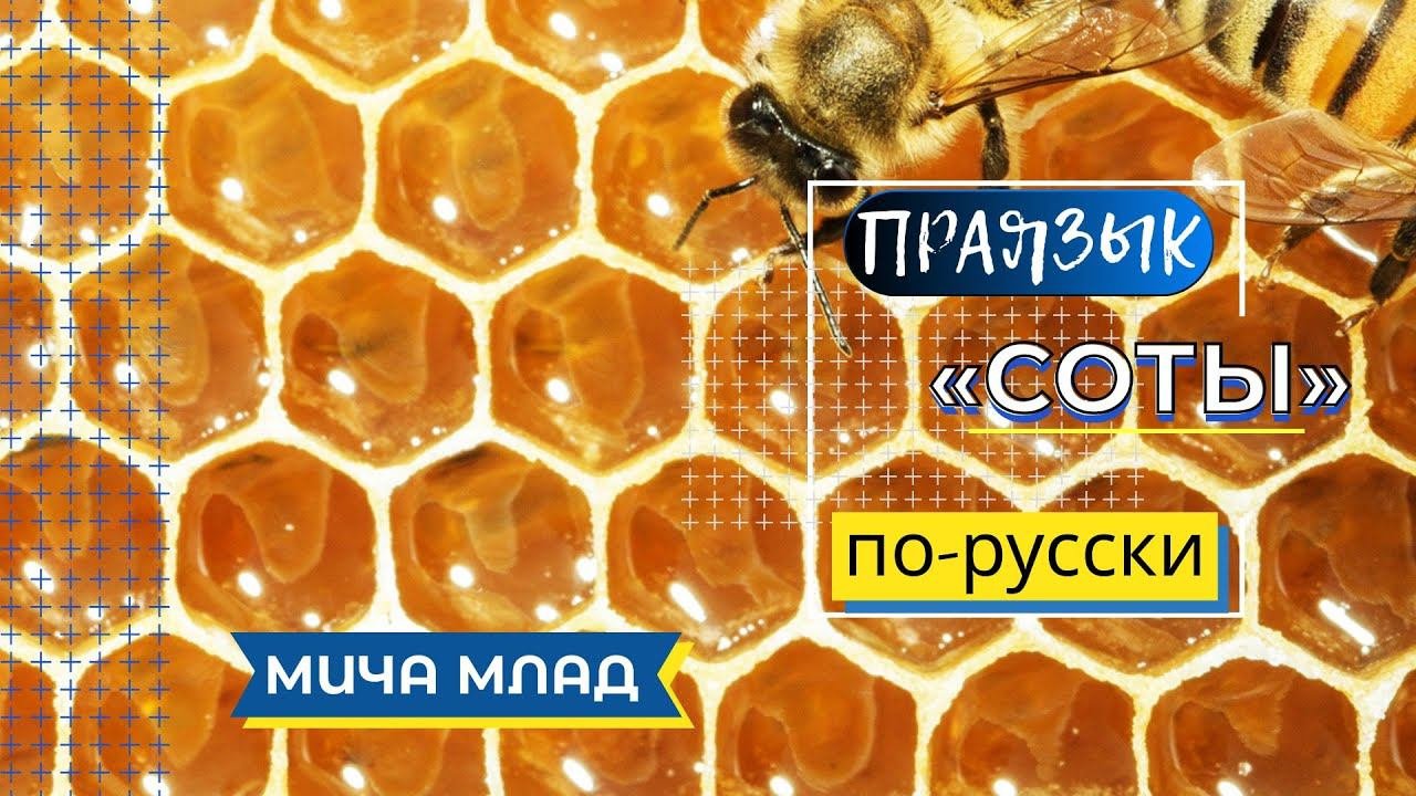 СОТЫ этимология слова - значение слова - праязык