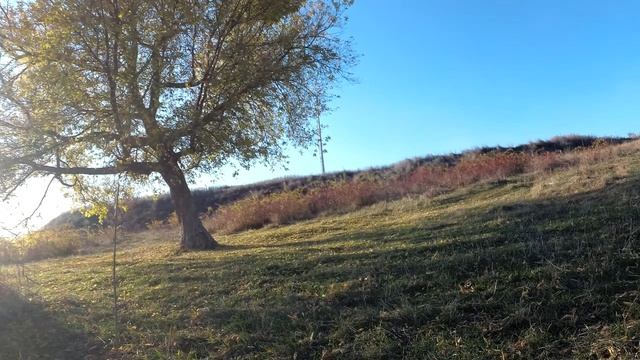 9 популярных советов о любви, которые только вредят отношениям. смотреть онлайн