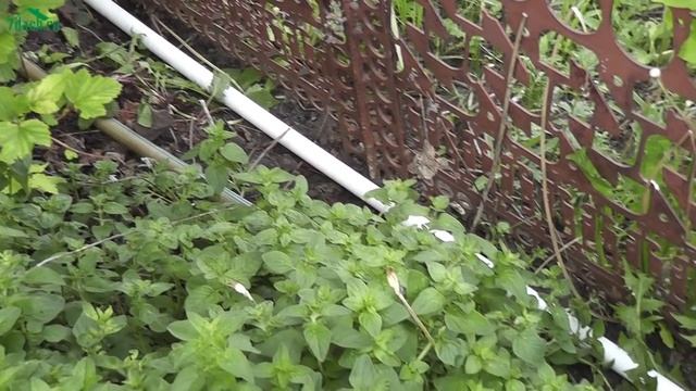 ?♂️ Автоматическая система полива огорода своими руками - 7 дач