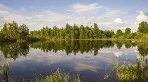Родные просторы