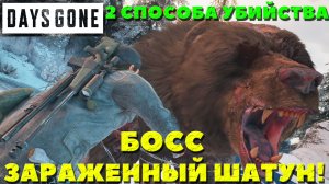Days Gone(Жизнь После) - ✔️Выживание 2! Босс Зараженный Медведь-Шатун! 2 способа убийства!