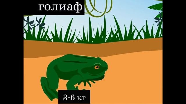 Алуан түрлі жануарлар