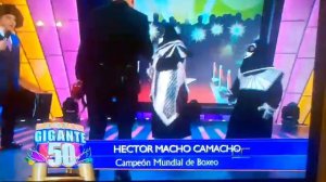 Macho camacho cantando