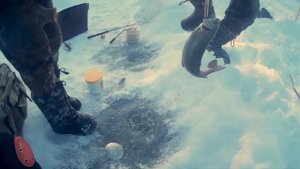 Зимняя рыбалка на Ленка ice fishing on lenok.