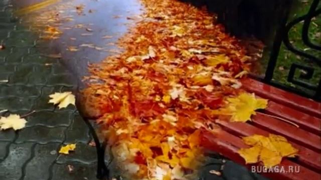 Осень - женщина за 40...