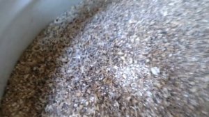 Самодельная вальцевая мельничка для солода от Максима