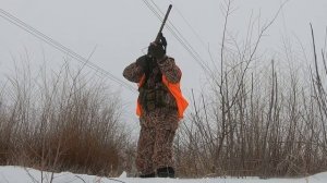 Трёхточечный погонный ремень на охоте, нужен или нет...!