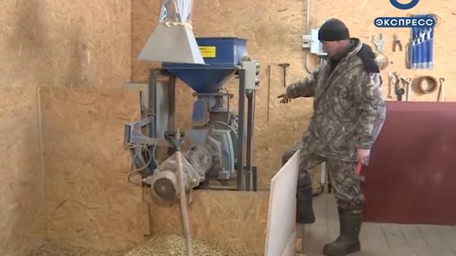 В охотничьих хозяйствах Пензенской области появятся 170 новых оленей смотреть онлайн