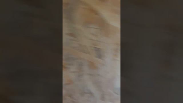 Электрика в первой комнате смотреть онлайн