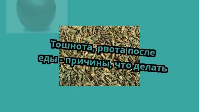 Тошнота, рвота после еды - причины, что делать