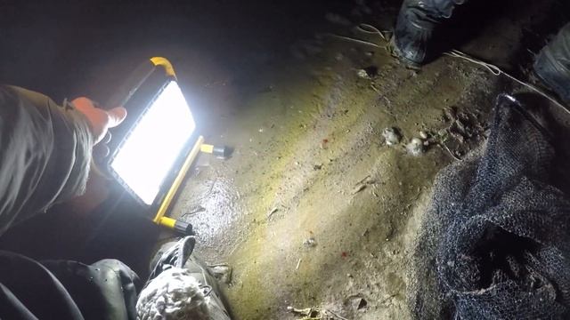 Рыбалка. Хищник на Живца в Декабре по Открытой Воде. Двое суток на реке с Больничкой и Финой. смотреть онлайн