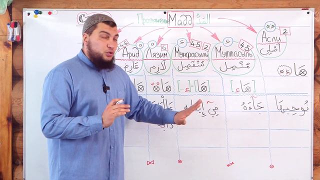 Урок № 26 «Мадд» - подведение итогов. смотреть онлайн