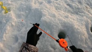 Рыбалка на р. Меша д. Караишево 17 .03.24