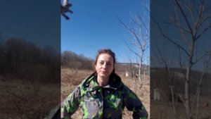 Послание от Творца всего сущего.