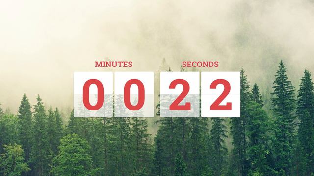 1 Minute Timer with Relaxing Ticking Clock Sound 🕒🔔 Perfect for Focus and Productivity! смотреть онлайн