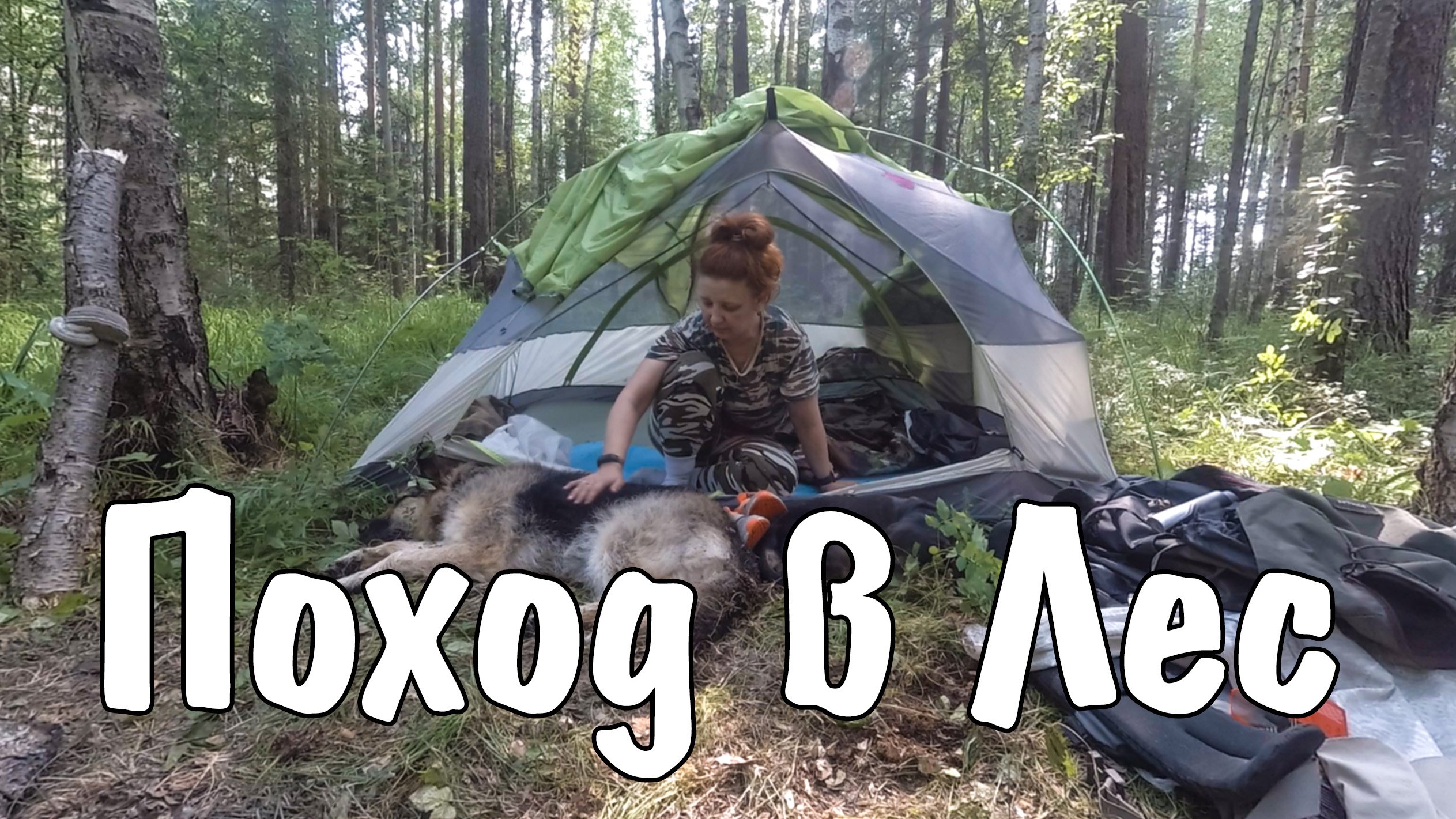 Поход в лес