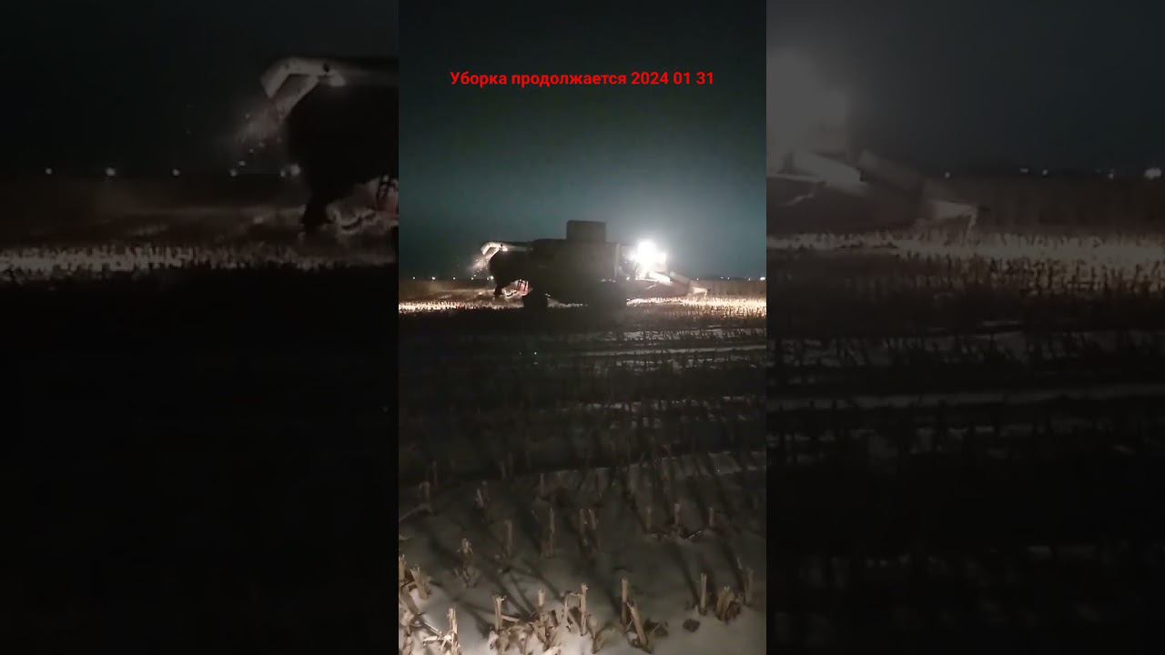 Claas tucano 450 Юбилейное на уборке кукурузы смотреть онлайн