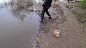 ДИКИЙ САЗАН!!! УТРЕННИЙ КЕШБЭК РЫБАЛКА В МАЕ 2023