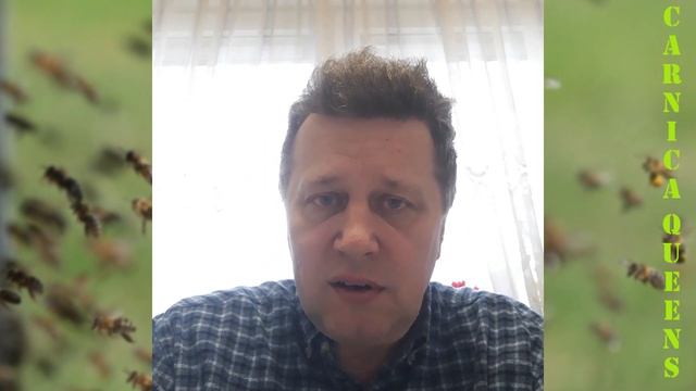 Основы селекции пчел.Селекция медоностных пчел. Матководство. Пчелиные матки. Карника.Букфаст.