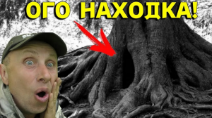 Вот Это Повезло, НЕРЕАЛЬНЫЕ НАХОДКИ под ДУБОМ в Лесу, Давно так не  КОПАЛ! В Поисках Клада от Влада!