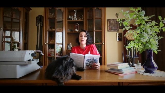 Рассказ Николая Богданова "Черный кот", акция "Читаем детям о войне". Читает Дарья Мерзлякова