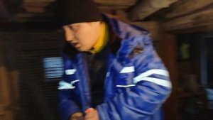 Сколько весит поросёнок породы Ландрас 8 месяцев.