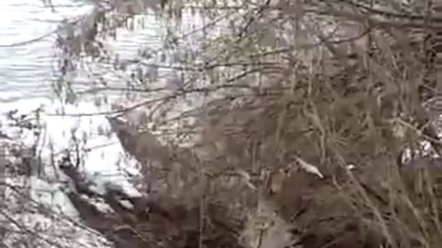 Сброс нечистот в реку Ока. 23.03.2019 смотреть онлайн