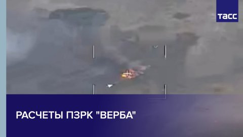 Расчеты ПЗРК "Верба" сбили вертолет Ми-8 ВСУ у Лукашовки Сумской области