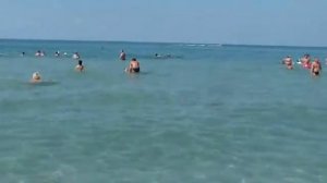 Поповка наша гостиница Крым