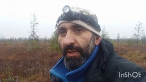 Секретный способ собрать клюкву.