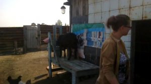 ..заводите коз!!!