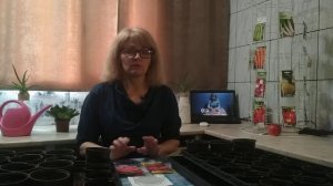 Как сеять томаты на рассаду. Когда сажать помидоры. Томаты рассада выращивание