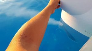 Как плавать в КАРКАСНОМ БАССЕЙНЕ на даче? Построить БАССЕЙН с противотоком своими руками!